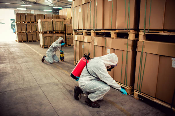 Best Local Pest Control Services  in Lakemont, PA