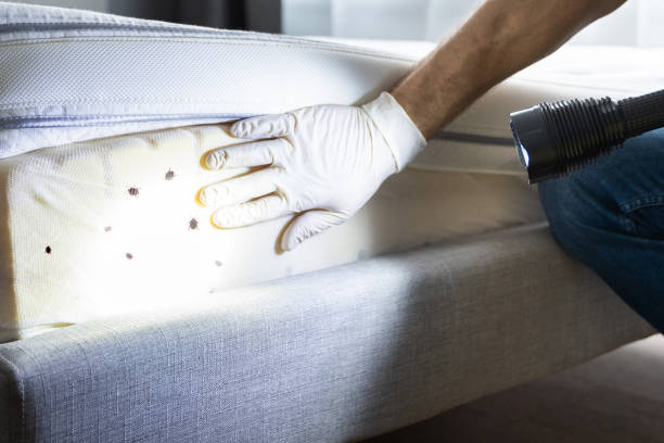 Best Pest Control Treatment  in Lakemont, PA