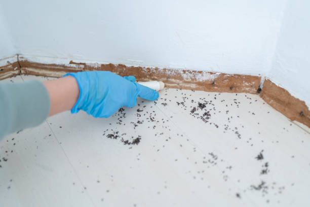 Best Pest Removal Services  in Lakemont, PA