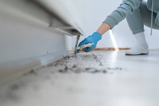 Best Flea Control Services  in Lakemont, PA